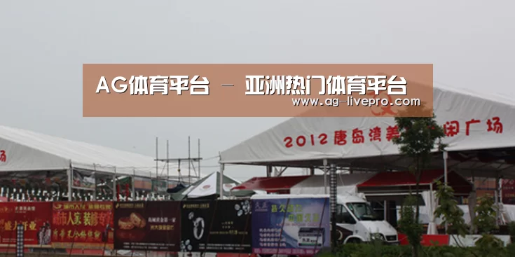 案例标题十