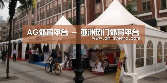 案例标题九