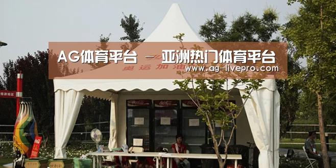 案例标题五