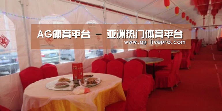 案例标题二