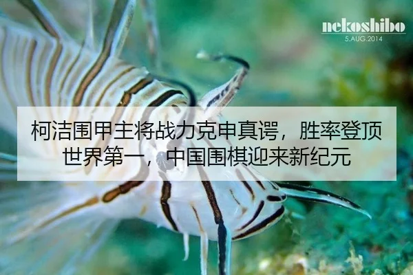 柯洁围甲主将战力克申真谔，胜率登顶世界第一，中国围棋迎来新纪元