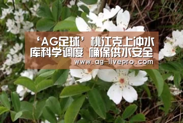 AG体育