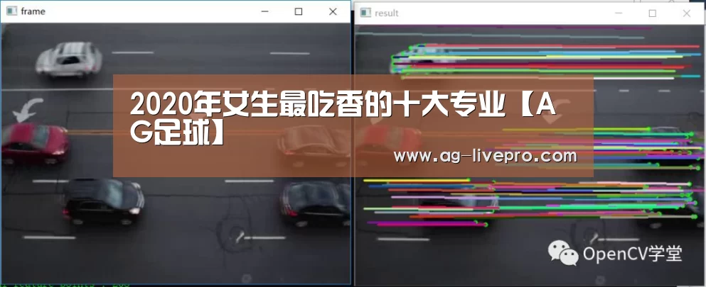 2020年女生最吃香的十大专业【AG足球】(图3) AG篮球