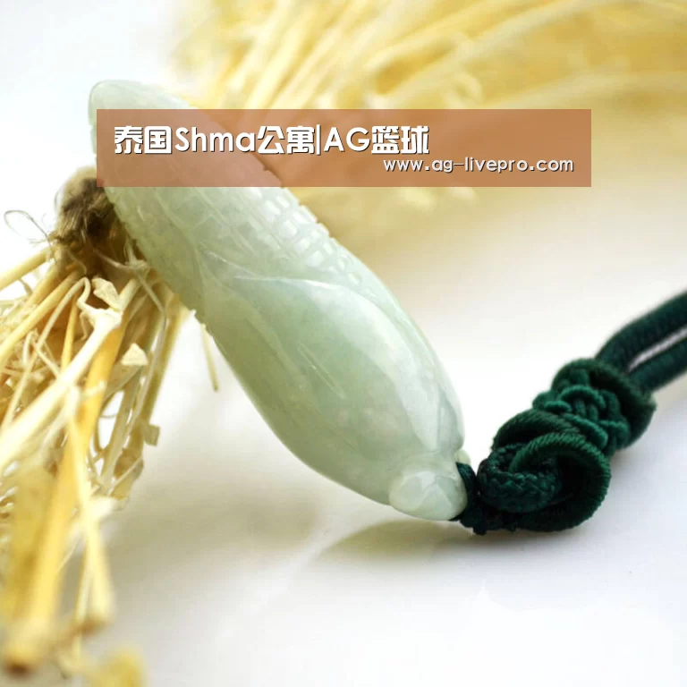 泰国Shma公寓|AG篮球