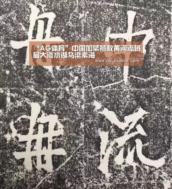 “AG体育”中国加紧拯救黄河流域最大淡水湖乌梁素海(图1) AG赛事