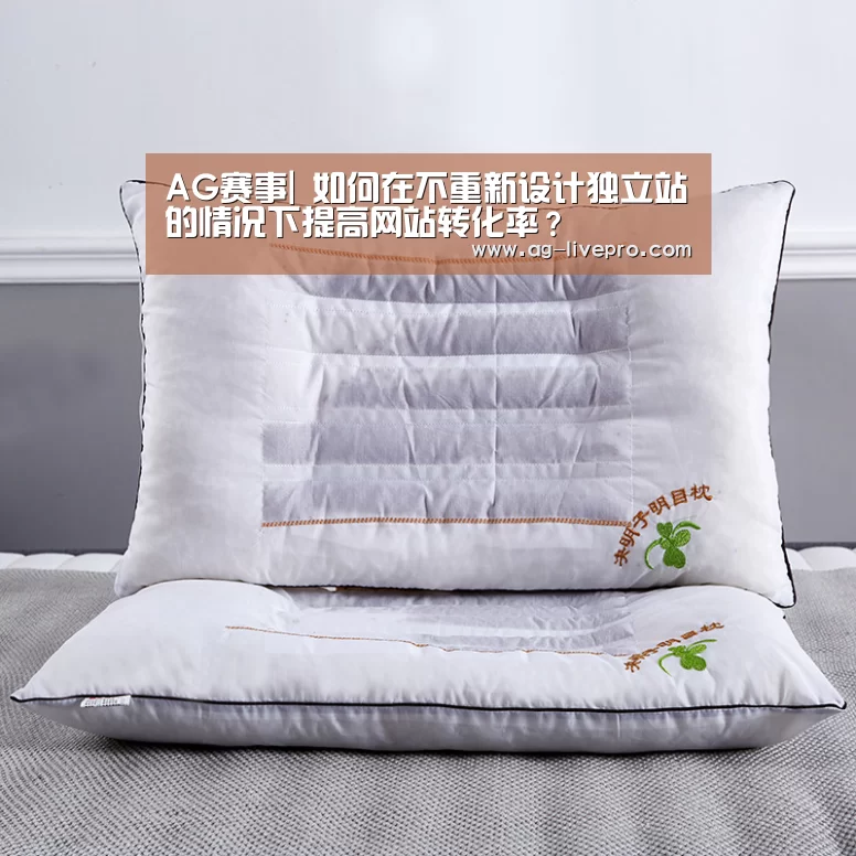 AG赛事|
如何在不重新设计独立站的情况下提高网站转化率?(图4) AG赛事